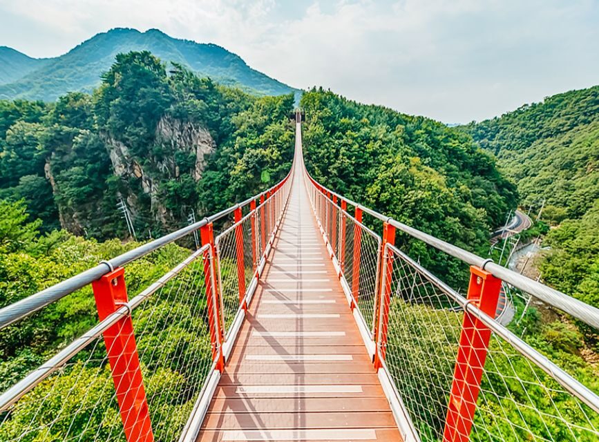 Seoul: DMZ, 3rd Tunnel and Optional Suspension Bridge Tour - Who this DMZ tour suits best
