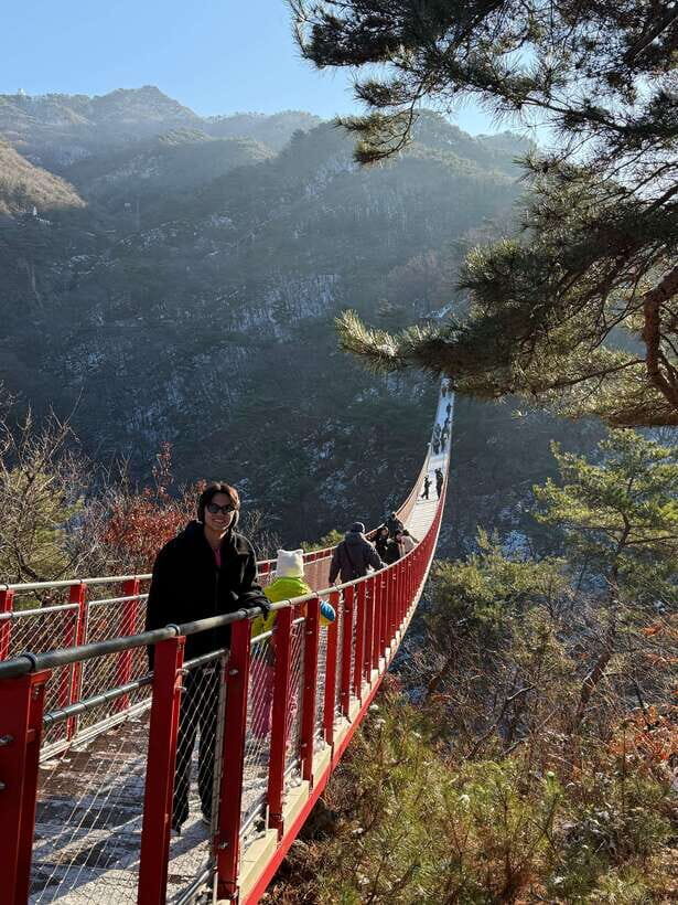 Seoul: DMZ Tour & North Korean Defector Meet Up (As Add-on) - Suspension Bridge option: when earlier timing matters