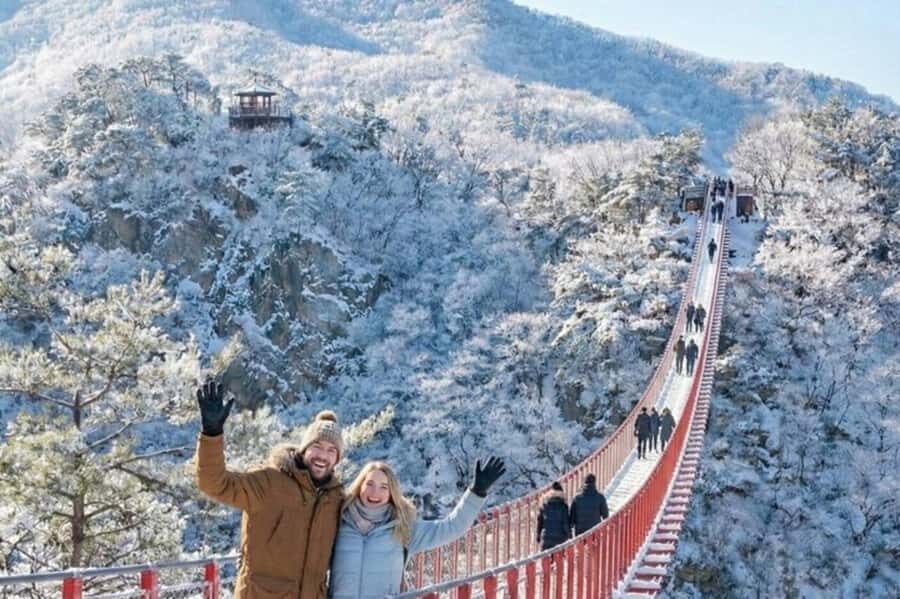 Seoul: DMZ Tour with Exclusive North Korean Defector Meet-Up - Quick hits on why this DMZ tour is different