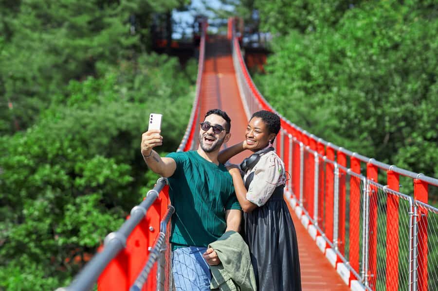 Seoul: DMZ Tour with Optional Suspension Bridge and Gondola - Key things you’ll care about before you go