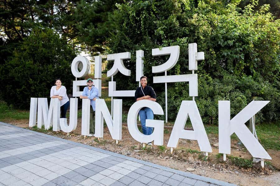Seoul: DMZ Tour with Optional Suspension Bridge and Gondola - Who This DMZ Tour Suits Best (and Who Might Be Better Off Elsewhere)