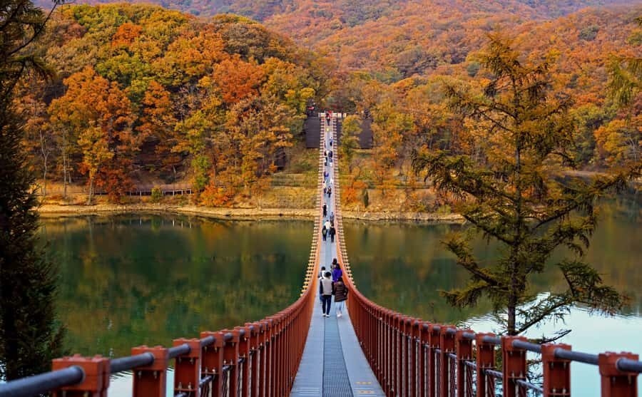 Seoul: DMZ Tour with Optional Suspension Bridge and Gondola - Entering the DMZ Zone Where Stories Feel Physical