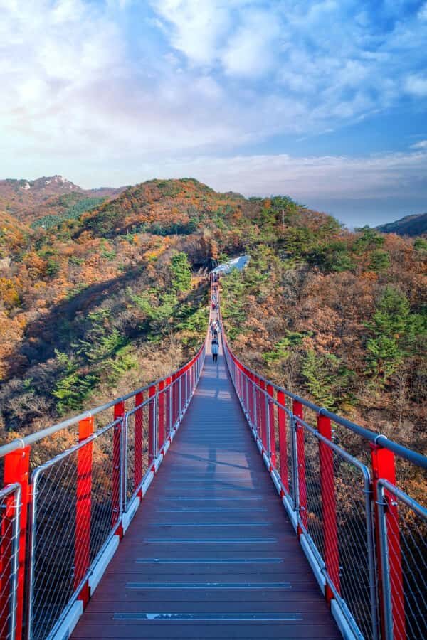 Seoul: DMZ Tour with Optional Suspension Bridge and Gondola - The Add-On Choices: Gondola vs Majang Lake Bridge vs Gamaksan Red Bridge