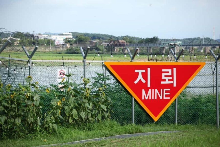 Seoul: DMZ with Optional Suspension Bridge & Gondola - Unification Village: Souvenirs, Snacks, and a Human Pause