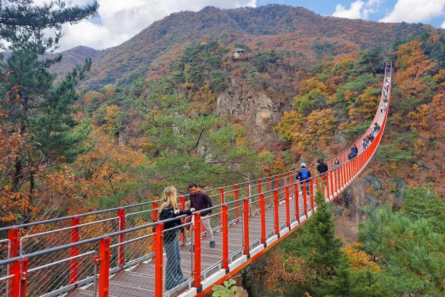 Seoul: DMZ with Optional Suspension Bridge & Gondola - Imjingak: The Quiet Setup Before the Big Sights