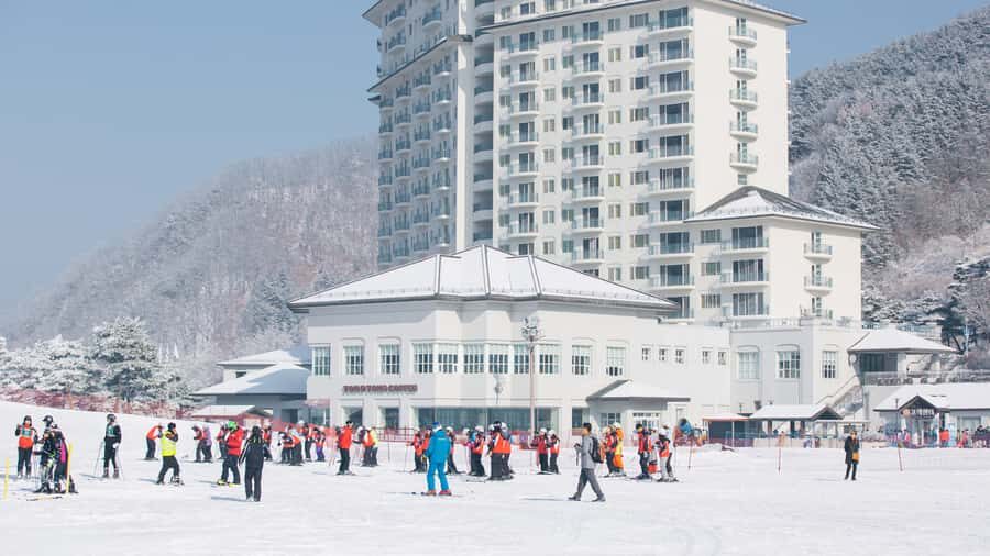 Seoul: Elysian Gangchon Winter Ski Resort Fun Day Tour - Should you book this Seoul-to-Elysian Gangchon tour?