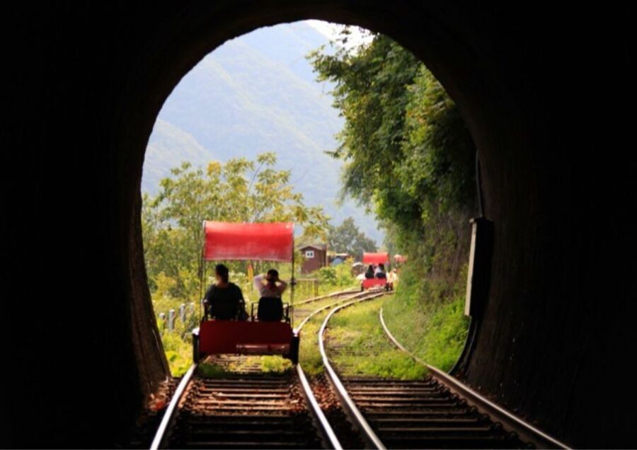 Seoul: Gangwon-do Day Trip with Alpaca World & Nami Island - How to choose between rail-bike and Morning Calm