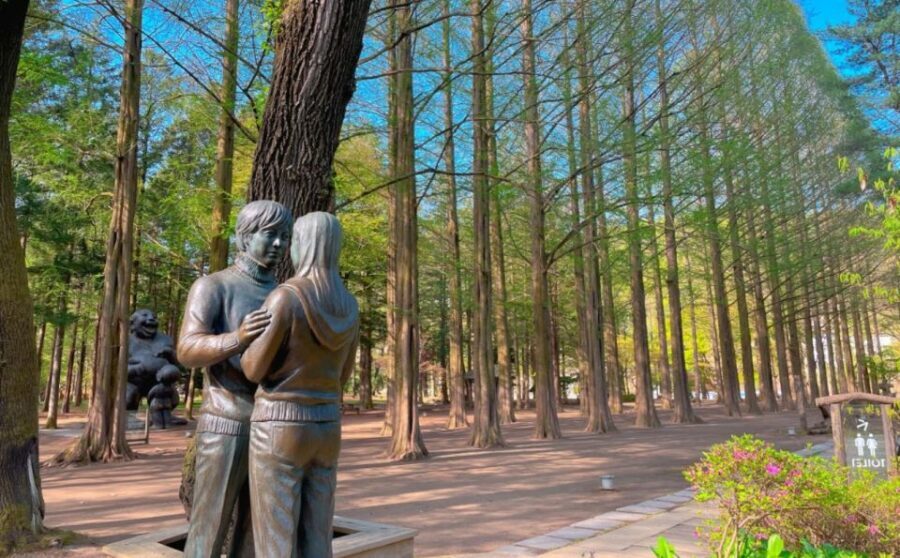 Seoul: Gangwon-do Day Trip with Alpaca World & Nami Island - Value and price: is $64 a fair deal?