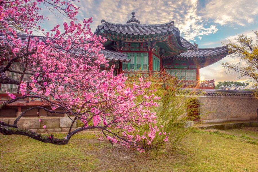 Seoul: Gyeongbok Palace and Bukchon Hanok Walking Tour - Key things I’d watch for on this Seoul morning tour
