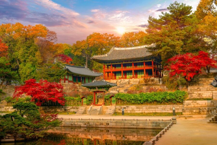 Seoul: Gyeongbok Palace and Bukchon Hanok Walking Tour - Price and value: why $88 for a 3-hour morning can make sense