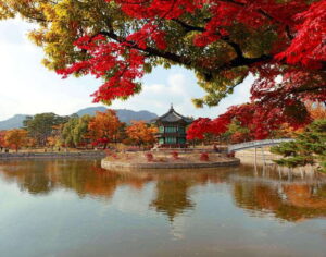 Seoul Highlights: Gyeongbok Palace, Insadong & N Seoul Tower - Jogyesa Temple and the Changing of the Guard at Gwanghwamun