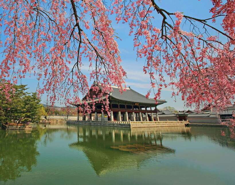Seoul Highlights: Gyeongbok Palace, Insadong & N Seoul Tower - Gyeongbokgung Palace and the National Folk Museum