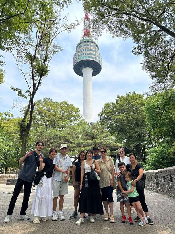 Seoul Highlights: Gyeongbok Palace, Insadong & N Seoul Tower - Should You Book This Seoul Highlights Day Tour?