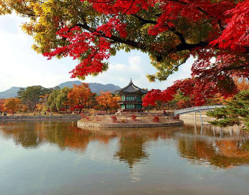 Seoul Highlights: Gyeongbok Palace, Insadong & N Seoul Tower - Jogyesa Temple and the Changing of the Guard at Gwanghwamun