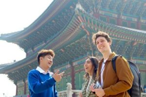 Seoul Highlights & Hidden Gems Tours by Locals: Private + Custom - Getting the most from Gyeongbokgung Palace and its courtyard stories