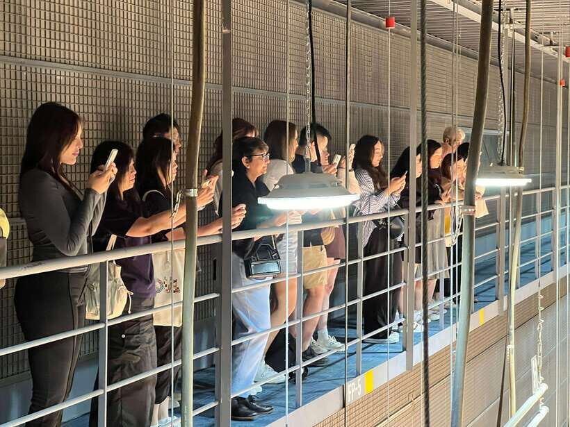 Seoul: MBC Insider Live K-Drama Rehearsal & VIP Studio Tour - Price and value: what $101 buys in real-world access