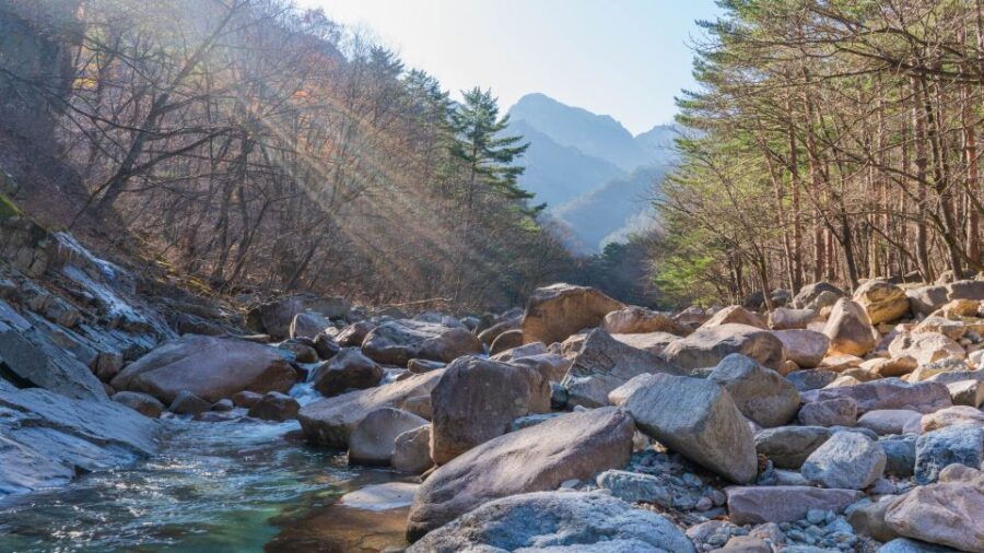 Seoul: Mt Seorak + Naksansa Temple or Nami Island Group Tour - Key Highlights at a Glance