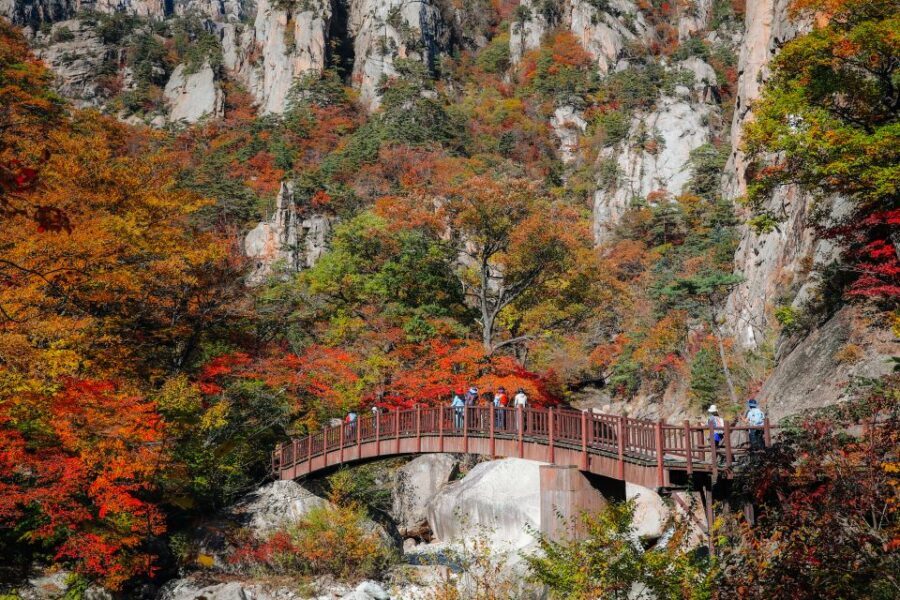Seoul: Mt Seorak + Naksansa Temple or Nami Island Group Tour - Naksansa Temple: Ancient Grounds With Sea-Facing Drama