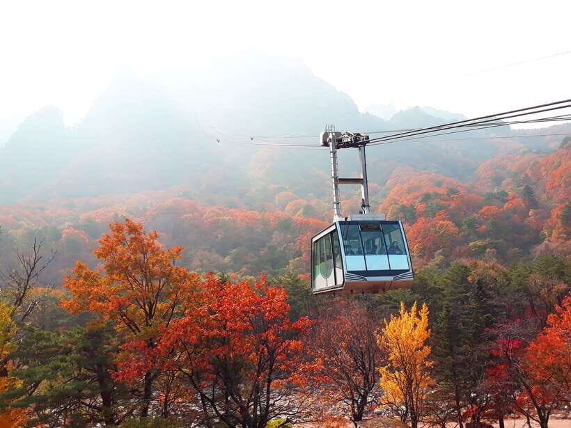 Seoul: Mt.Seorak, Nami Island & Korean Garden, No Shopping - Key highlights worth your attention