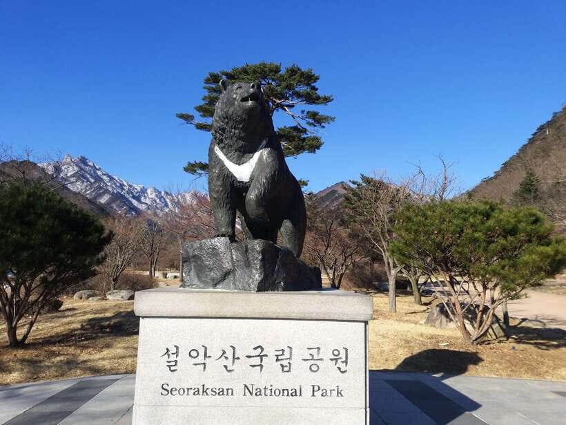 Seoul: Mt.Seorak, Nami Island & Korean Garden, No Shopping - From Seoul to Seoraksan: why the timing works