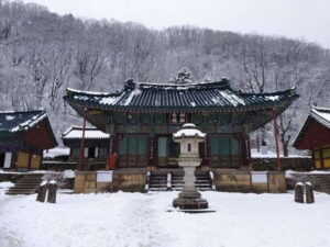 Seoul: Mt.Seorak, Nami Island & Korean Garden, No Shopping - Seoraksan National Park: Shinheungsa Temple and the Osaek (Jujeongol) course