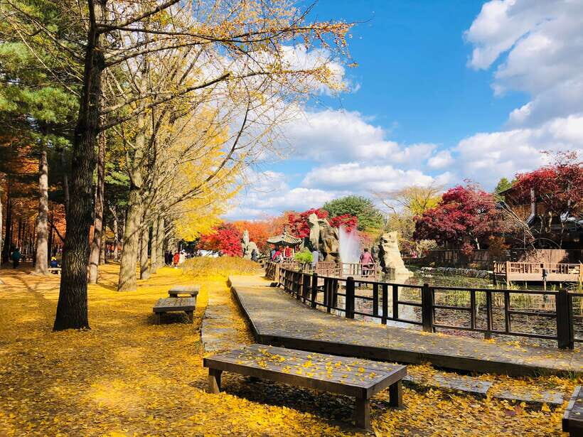 Seoul: Mt.Seorak, Nami Island & Korean Garden, No Shopping - Price and value check: does $95 make sense?