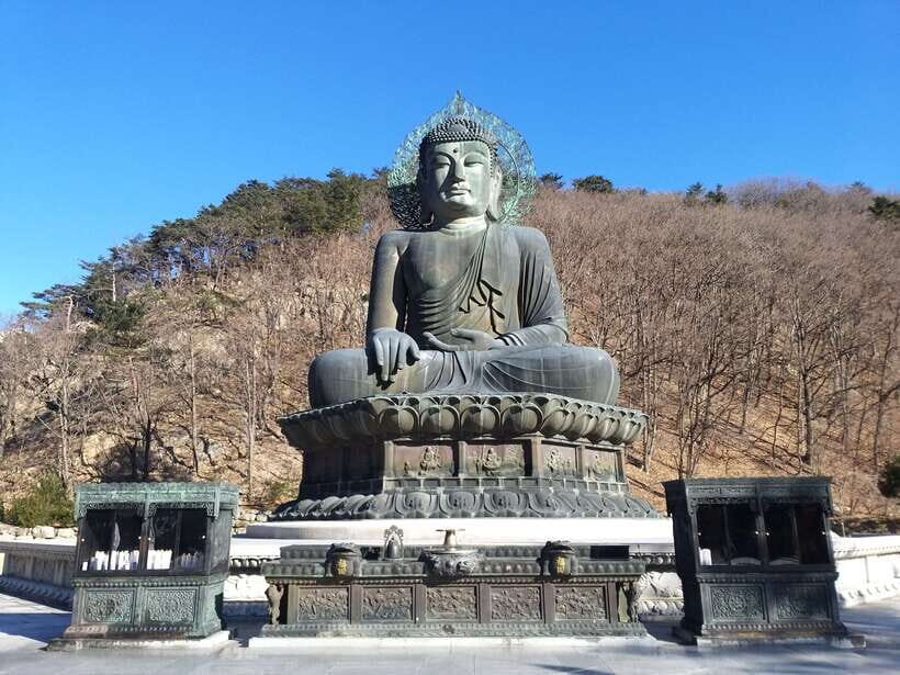 Seoul: Mt.Seorak, Nami Island & Korean Garden, No Shopping - Who this tour is best for (and who should skip it)