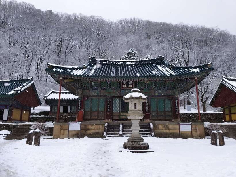 Seoul: Mt.Seorak, Nami Island & Korean Garden, No Shopping - Seoraksan National Park: Shinheungsa Temple and the Osaek (Jujeongol) course