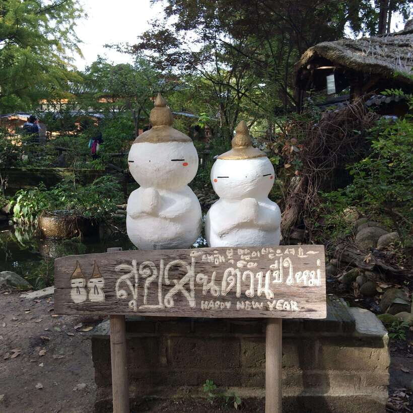 Seoul: Mt.Seorak, Nami Island, No Shopping(+RailBike Option) - Should you book this Mt. Seorak and Nami Island day trip?
