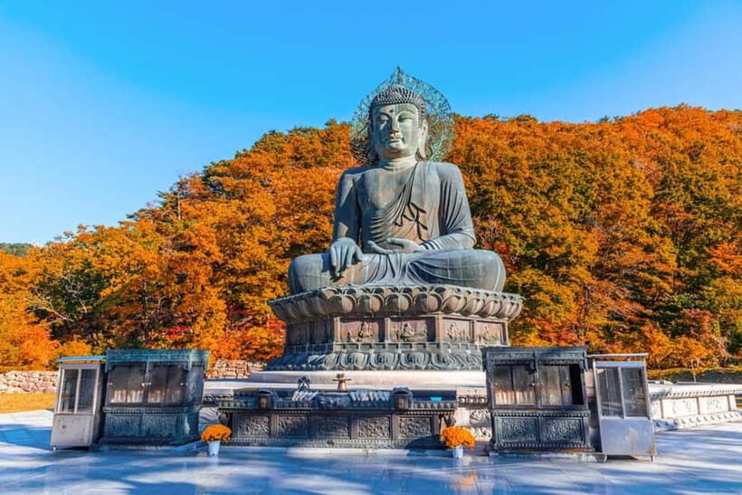 Seoul: Mt. Seoraksan National Park Autumn Foliage Day Tour - Key things that make this day trip work