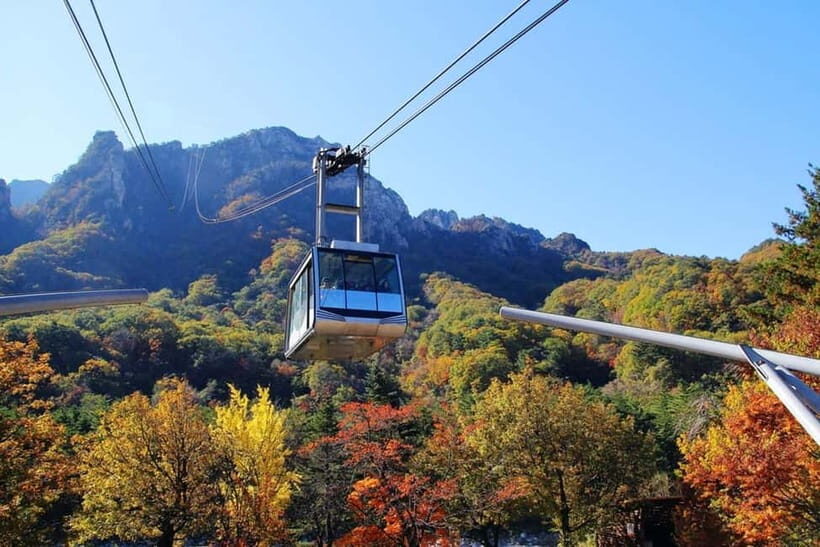 Seoul: Mt. Seoraksan National Park Autumn Foliage Day Tour - What I’d do to choose your hiking level on arrival