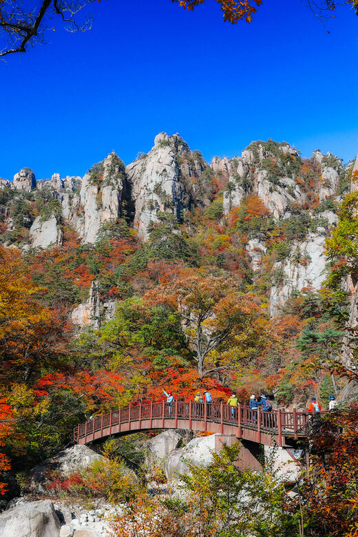 Seoul: Mt. Seoraksan National Park Autumn Foliage Day Tour - Your on-the-ground game plan: 5 hours of free hiking time