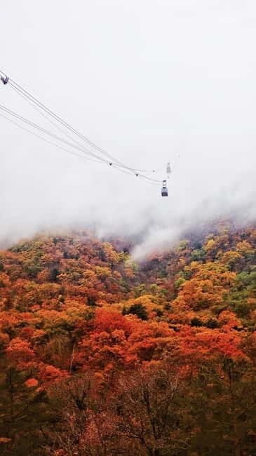 Seoul: Mt. Seoraksan National Park Autumn Foliage Day Tour - Cable car: optional, not included, and weather-sensitive