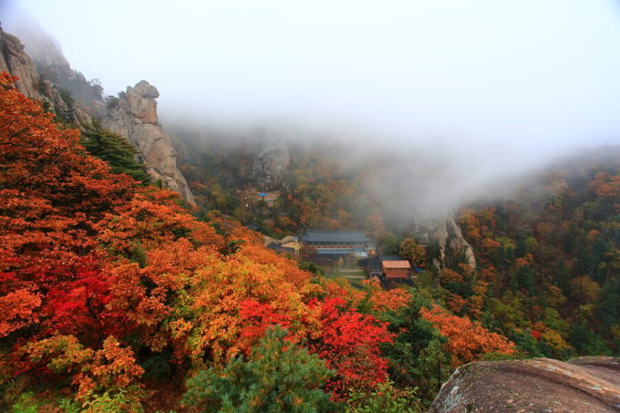 Seoul: Mt. Seoraksan National Park Autumn Foliage Day Tour - Photography and viewpoint tips that match the park