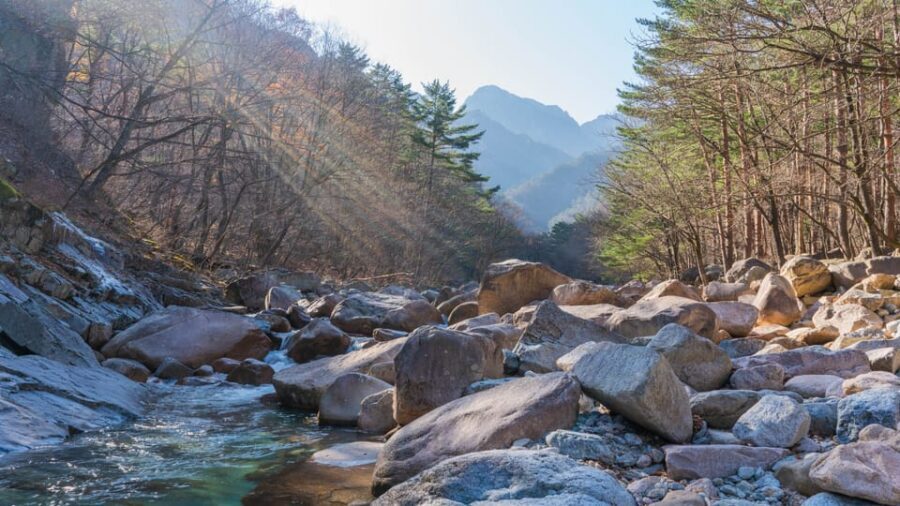 Seoul: Mt. Seoraksan National Park Autumn Foliage Day Tour - Value for money: is $60 a good deal?