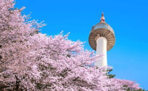 Seoul: N Seoul Tower Observatory Ticket - Price and Value: What $18 Really Buys
