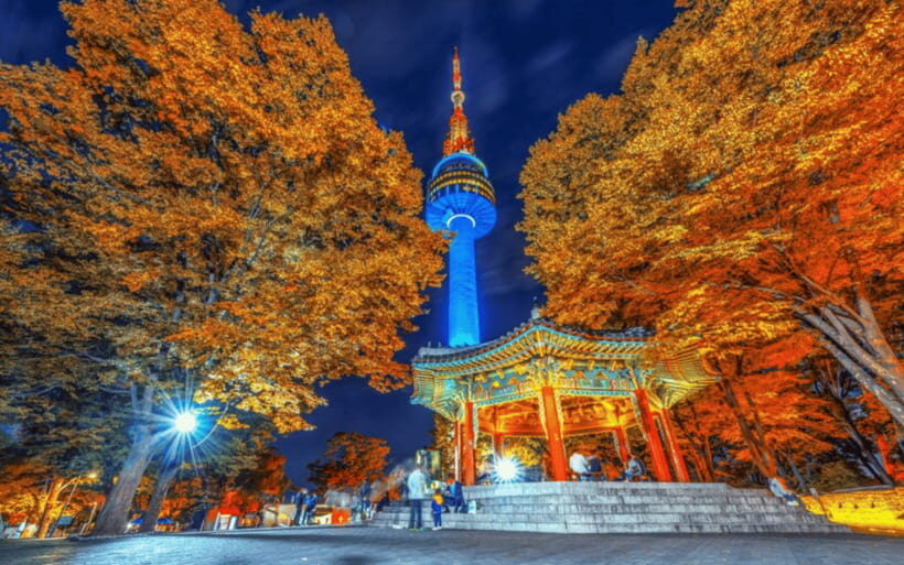 Seoul: N Seoul Tower Observatory Ticket - Making It Smooth: How to Plan Your Visit Day-of