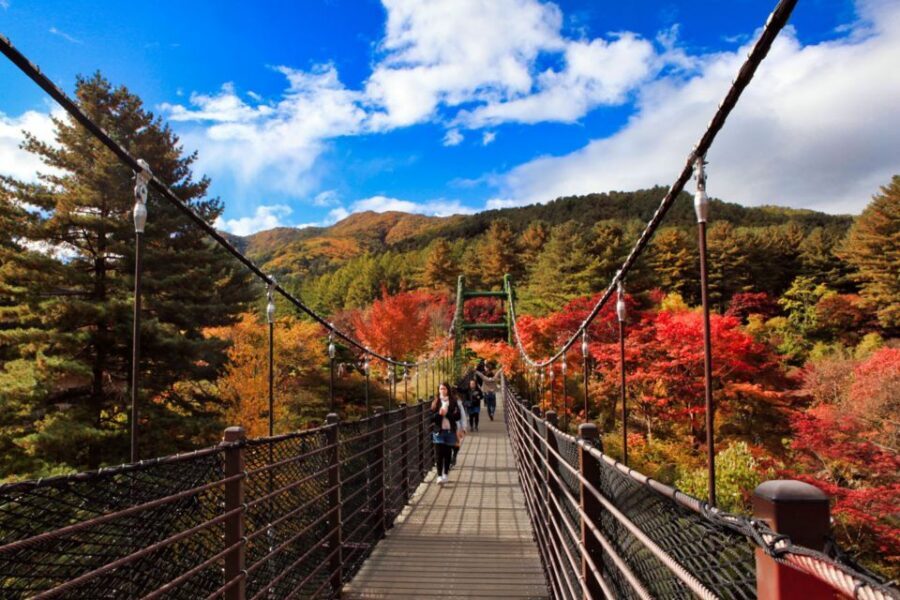 Seoul: Nami and Petite France Tour with Optional K-Garden - Should you book this tour?