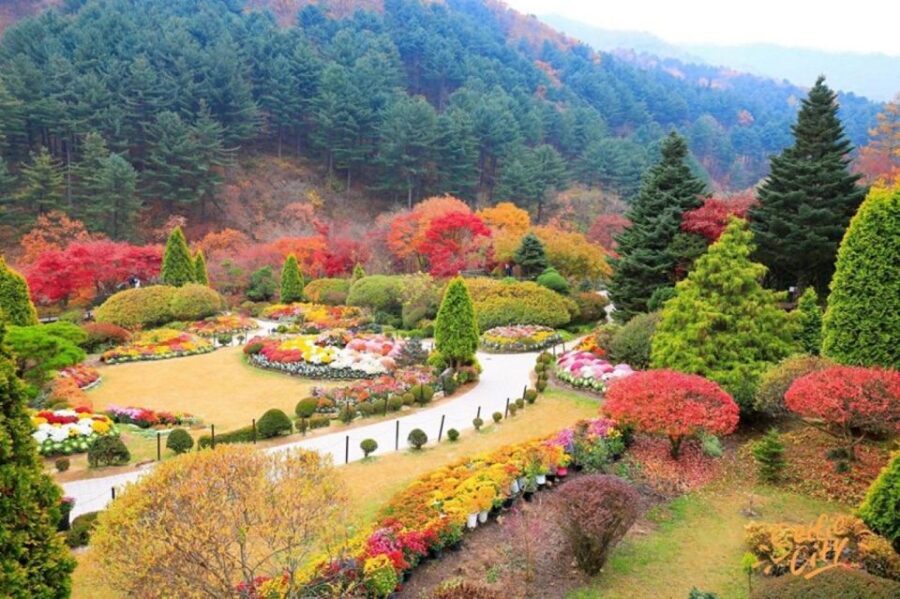 Seoul: Nami and Petite France Tour with Optional K-Garden - A 10-hour circuit of K-drama nature and storybook streets
