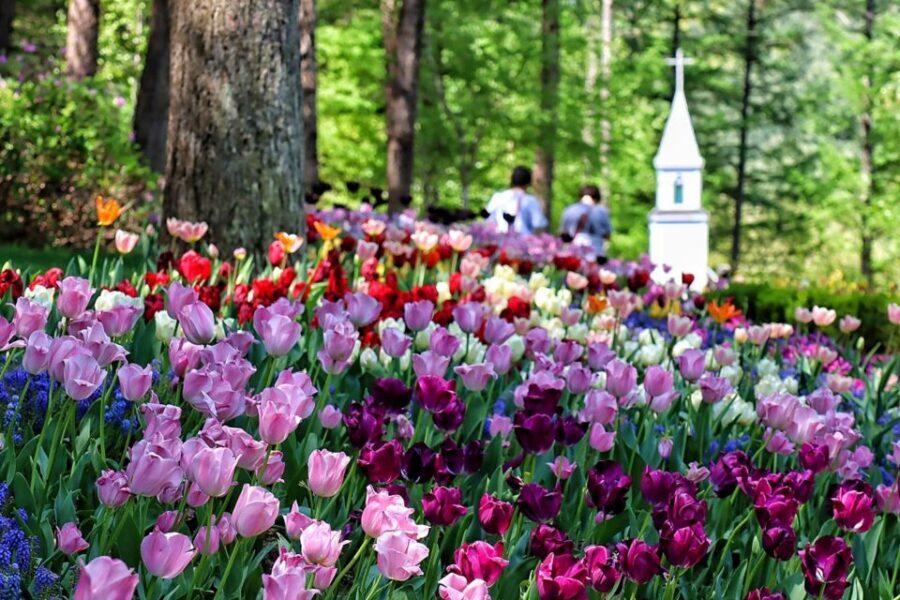 Seoul: Nami and Petite France Tour with Optional K-Garden - Italian Village (Pinocchio & Da Vinci): art and whimsy in the same stop