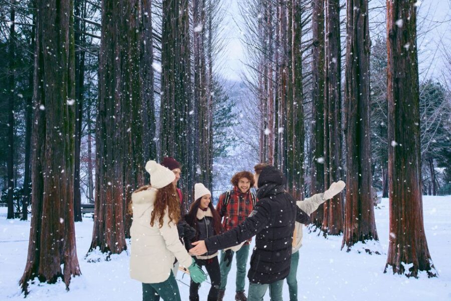 Seoul: Nami and Petite France Tour with Optional K-Garden - Who should book this Seoul Nami and Petite France day tour