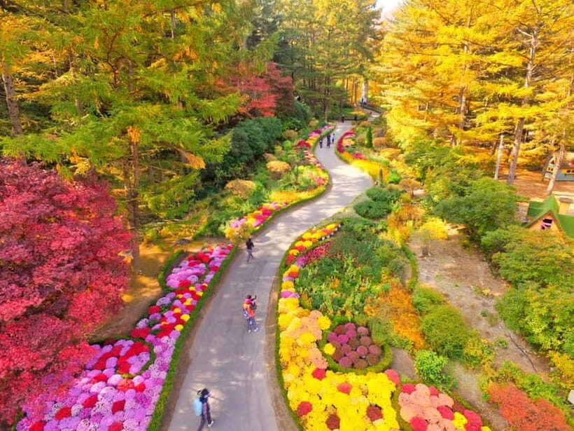 Seoul: Nami Island and Garden of Morning Calm (+Railbike) - Nami Island: half-moon views, K-drama scenery, and the Naminara Republic vibe
