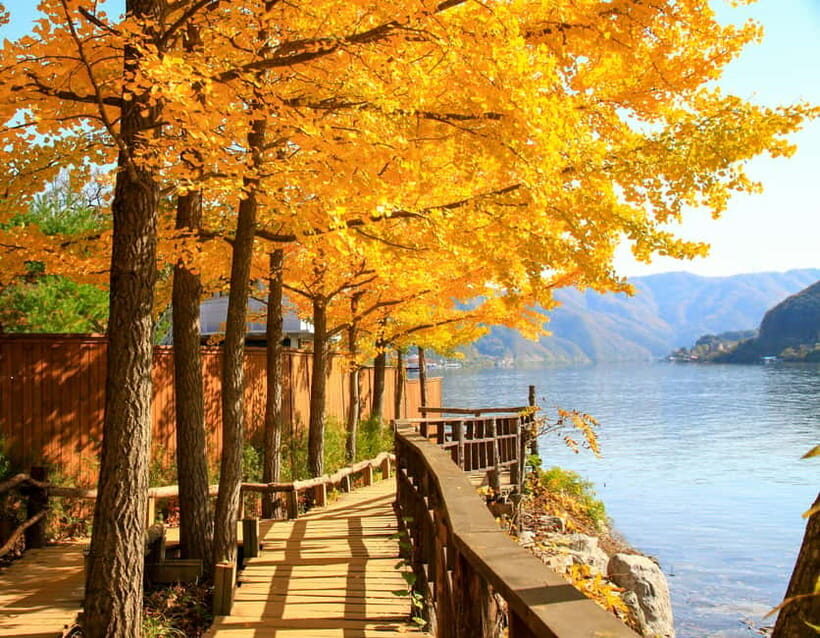Seoul: Nami Island and Garden of Morning Calm (+Railbike) - Who should book this Nami Island and Morning Calm day trip