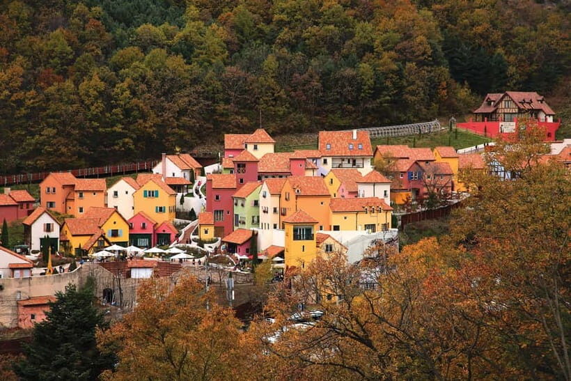 Seoul: Nami Island, Garden and Petite France with Railbike - Quick Take: Who This Tour Fits Best