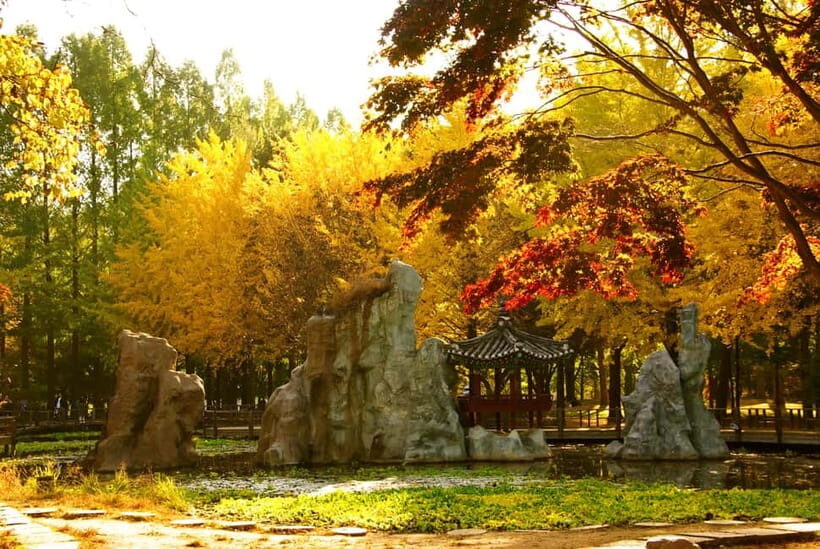 Seoul: Nami Island, Garden and Petite France with Railbike - Add-On Ticket: The Painters Art Showcase