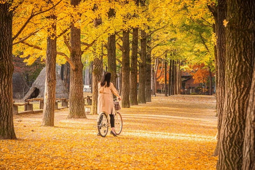 Seoul: Nami Island, Garden and Petite France with Railbike - The Railbike Ride: Pedal Through the Old Train Track at Gangchon