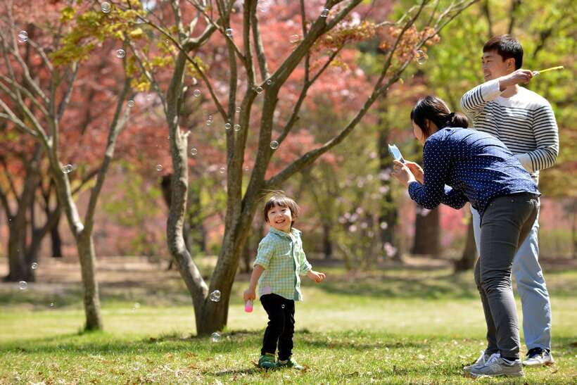Seoul: Nami Island & Petite France Tour with Railbike Option - The Coach Ride From Seoul: Convenient, But Plan for Comfort
