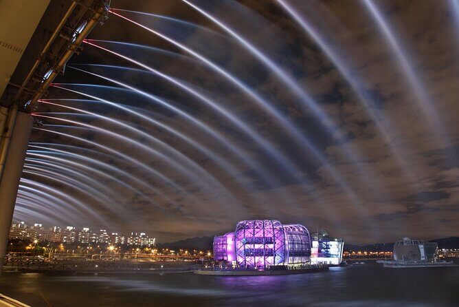 Seoul Night Tour with Han River Cruise and Gyeongbokgung Palace - Key Highlights You’ll Feel Right Away