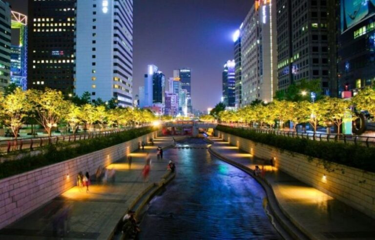 Seoul: Nighttime Tour of Palace, Market, Naksan Park & More - Pickup, transport, and the value of not wrestling Seoul at night