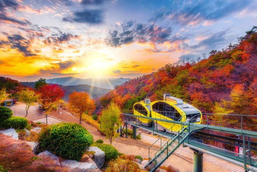 Seoul: Pocheon Art Valley and Fruit Picking Day Tour - Key Things That Make This Pocheon Day Tour Worth Your Time